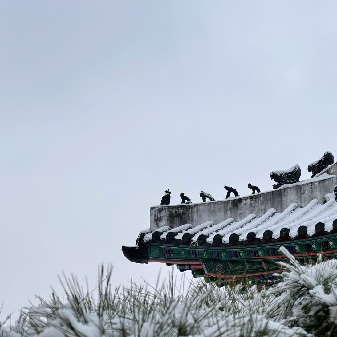 Jessie Hwang's Prose and Pictures